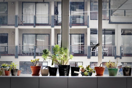 唐綺陽星座運勢週報 11月27日至12月3日 水瓶座好事多磨 喜歡就盡全力衝刺 Cheers快樂工作人 唐綺陽星座運勢週報 11月27日至12月3日 水瓶座好事多磨 喜歡就盡全力衝刺 Cheers快樂工作人