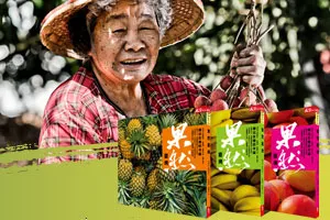 《果然臺灣》梅花如雪，因她一人盛放