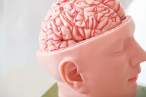 神經行銷術：從腦打進你的心