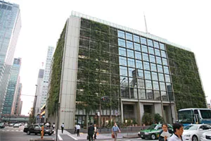 把辦公室變成都市「植物工廠」