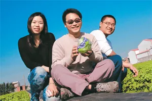 一份簡報，開闢上億萵苣王國