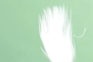戰勝成年後的過敏症狀