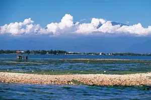 潛進海洋香氣裡的2種旅行