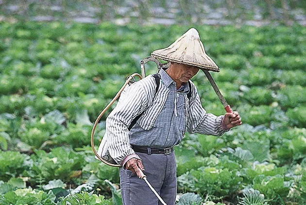 台灣將在明年初成為WTO正式會員