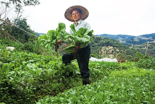 中年後，回歸田園不是夢