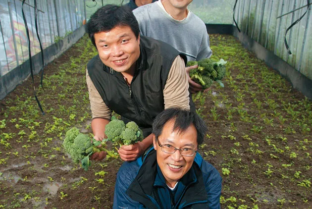另類親子活動：在自己的梯田旁露營