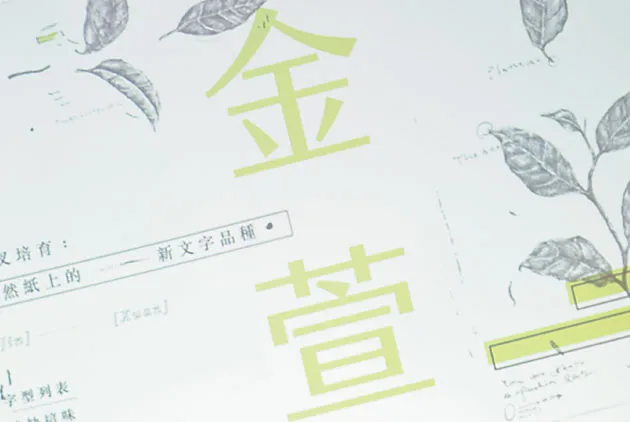 加速被賞識：群眾募資平台