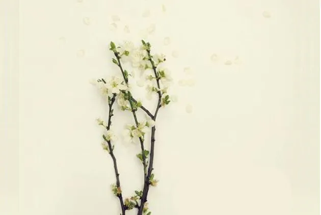 因為愛，讓他好好走：一位重症醫學主任醫師的善終叮嚀