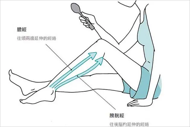 學會「湯匙按摩法」，有效預防頭痛