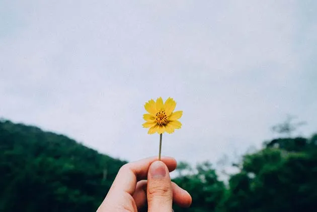 《台灣青年的迷惘－－讀者給酷青的一封信》人生的力量，在於活出你喜歡的自己