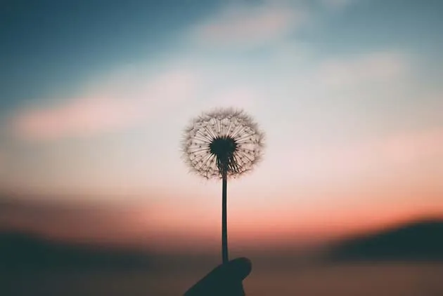 【那些字根教我們的人生】Forgive來自Give──班花，下輩子我們一起「給予」吧！