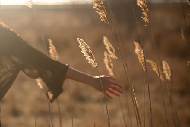 【30歲的感情學】適度退讓&ne;過度忍讓