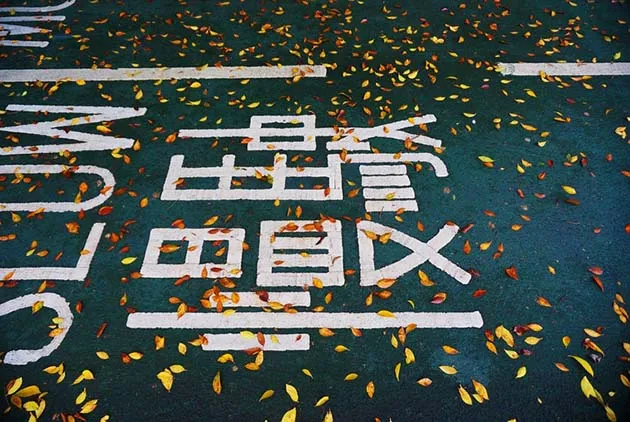 奔跑在人生這場馬拉松，別忘了還有一種選擇叫做「慢」
