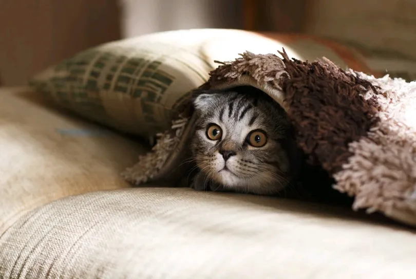 「很冷」怎麼說？各種表達冷的英文說法