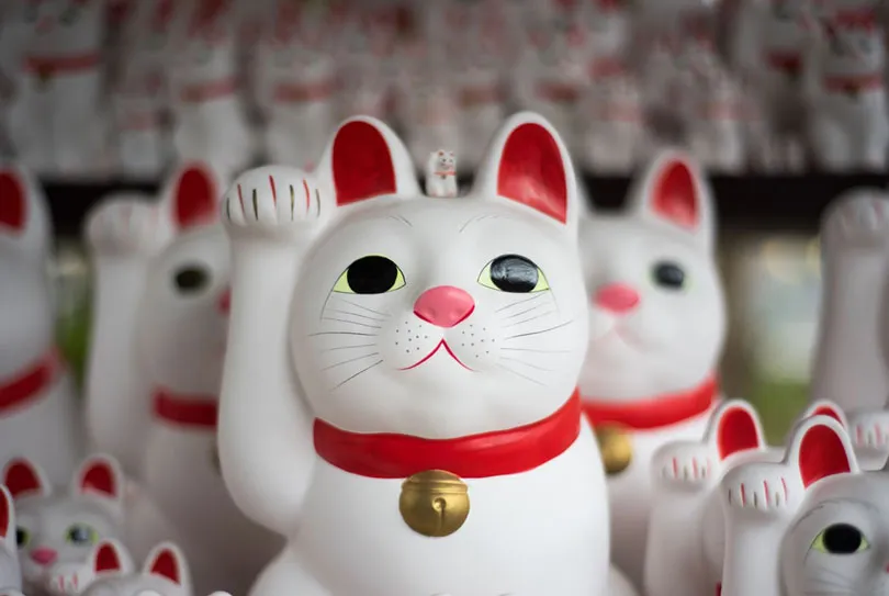 【鼠年開運發大財】２０２０十二生肖運勢解析：馬、羊、猴、雞、狗、豬
