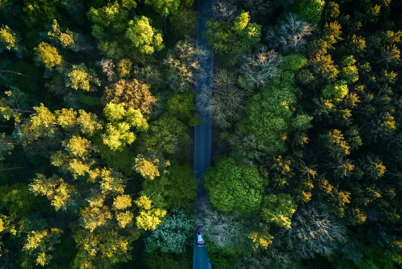 時尚與旅行，在初夏的熱帶雨林相遇