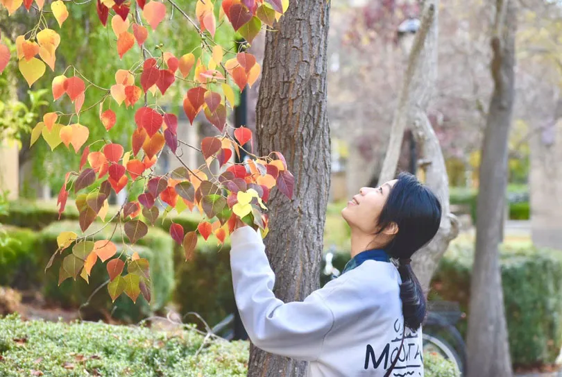 當你的心生病，大自然是最好的醫生，你聽過「森林療癒師」嗎？