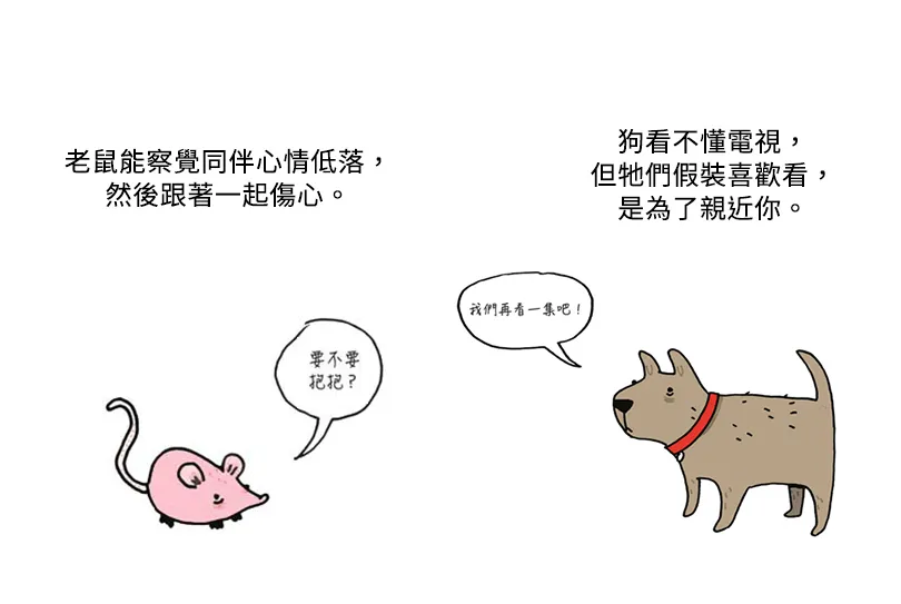 動物傷心事：狗狗根本看不懂電視，留在客廳，只是因為牠想陪你…