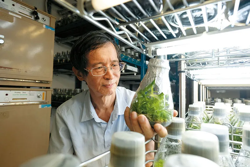 鑽研種苗，讓蘭花綻放全球—國家產學大師獎 陳福旗