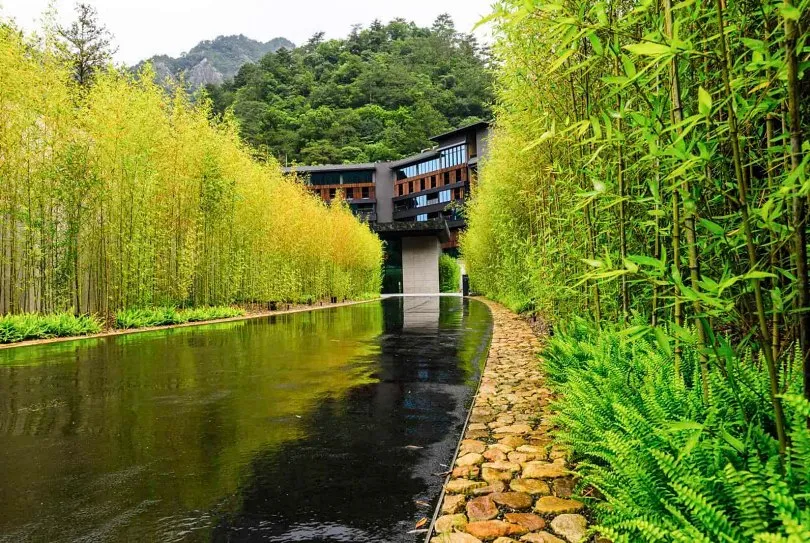 報復性國旅會帶來新的災難？愈追求CP值，國旅品質只會愈爛