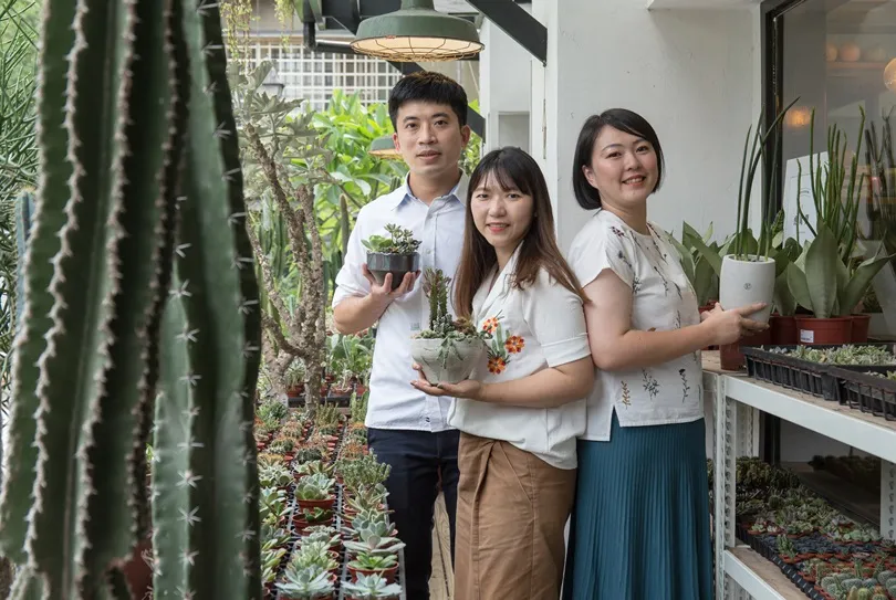 在台北市中心打造一整面植物牆！販售要價千元的多肉植物，「有肉」靠什麼拴牢一票鐵粉？
