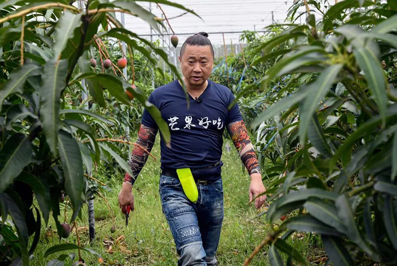 你不需要活出A級人生，邰智源：C級人生只要把握６個C，就能安度低潮