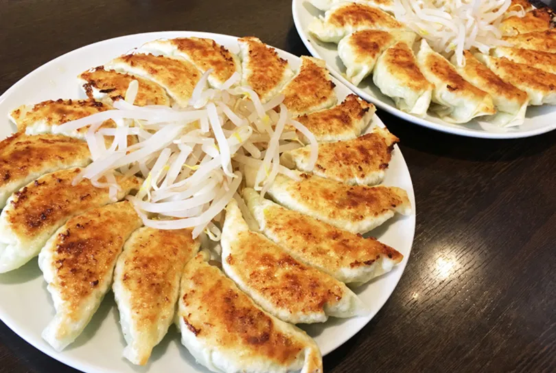 不只台灣人愛戰食物！日本獨有的餃子大戰：「宇都宮餃子」VS「濱松餃子」差在哪