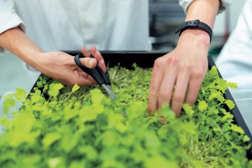 ２０２１大學指南：生物資源學群詳解
