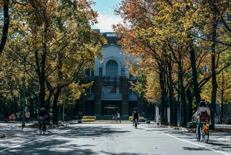 台灣大學