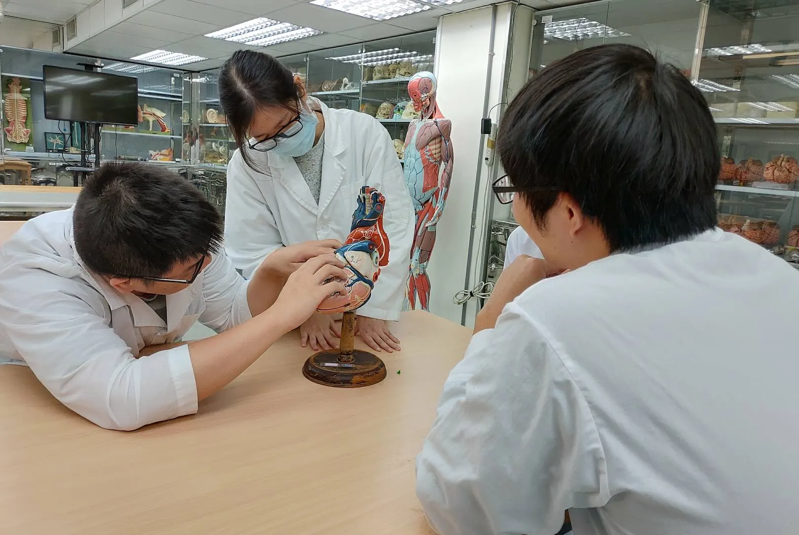 陽明交通大學
